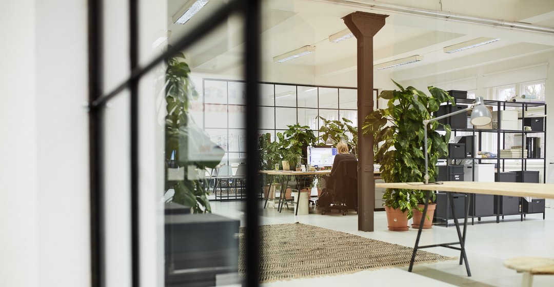 Kaluza + Schmid Büro Berlin